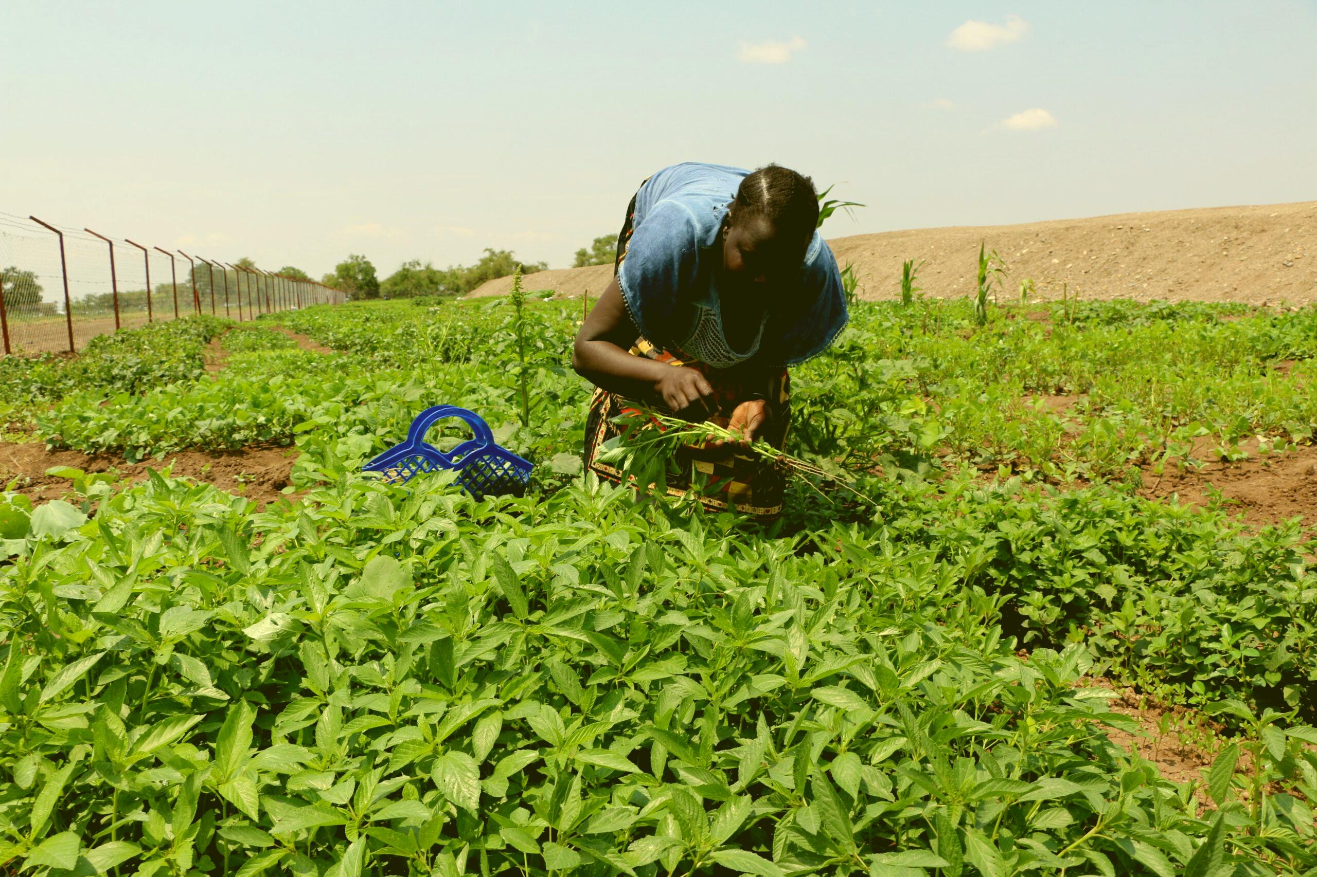 ATUDIS team and community in the field