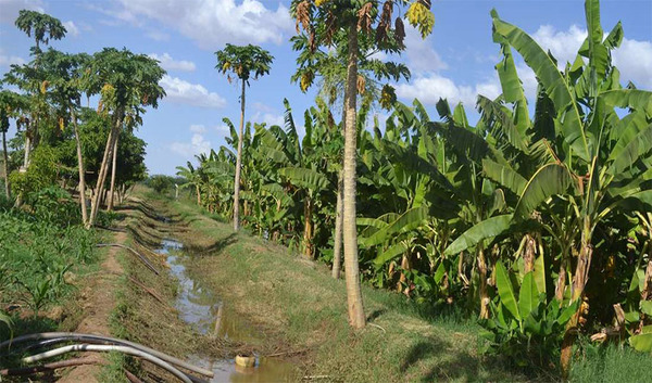 Flood-based farming system with APAD and GIZ