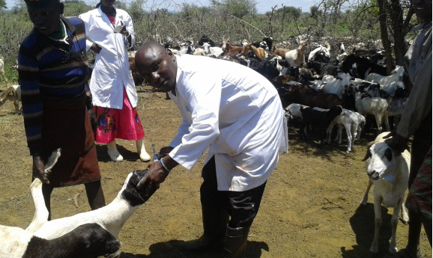 Previous project activity: Livestock Vaccination, Nakitong'o village, Turkana West Sub County