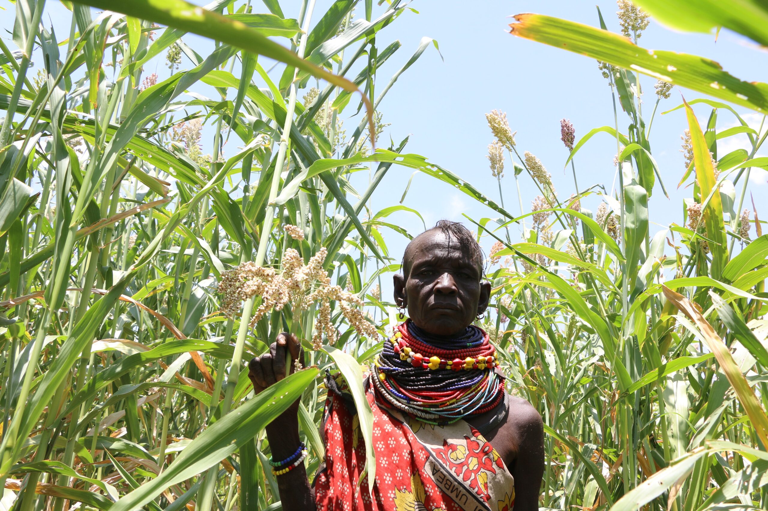 ATUDIS community gathering in Turkana